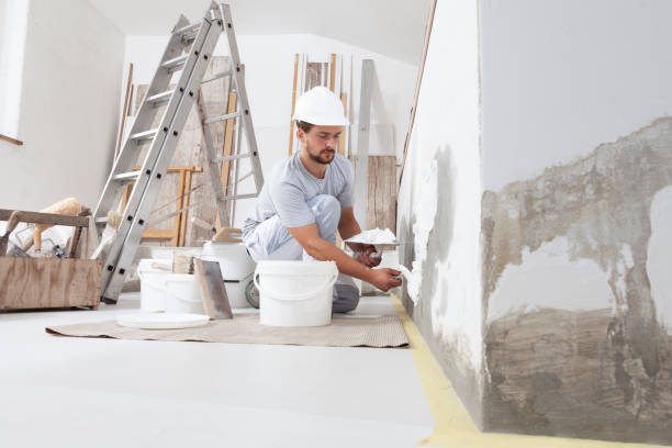 Best Repainting for Renovations  in Seville, FL